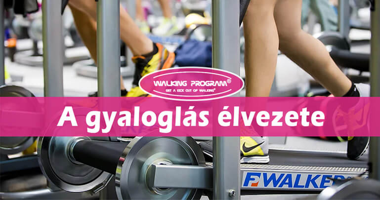 duna fitness mohács walking program