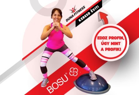 duna fitness bosu